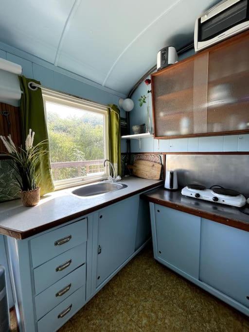 Апартаменты Fjordhytten. Rebuild Train Wagon From 1937. Оденсе Экстерьер фото
